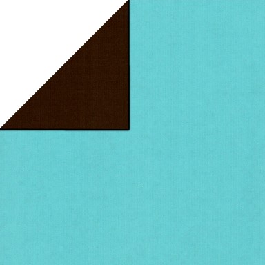Gift paper on the front in solid aqua , backside solid brown on strong narrow ribbed matte paper.
 