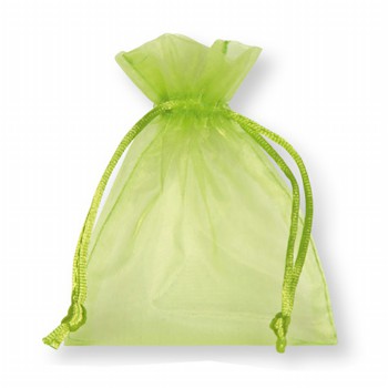 Organza gift bag applegreen.
 